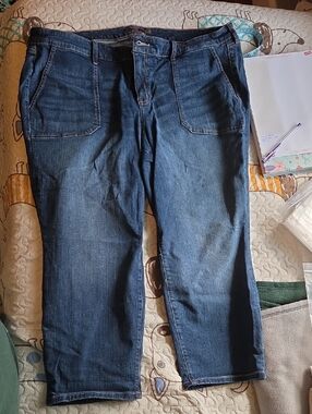 torrid Dark Blue Denim Capris